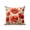 Bright Red Light Brown, variant on Waterproof Outdoor Throw Pillows with Inserts 18"x18" Set of 2, Red Spring Floral Soft Decorative Pillowcases for Couch Bedroom, Summer Botanical Watercolor Vintage Pillow Covers for Sofa Living Room