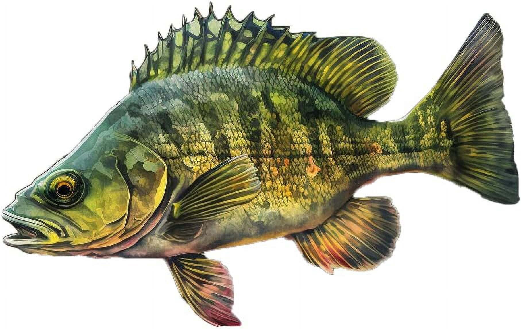 Fish Wall Decals - Brown Trout, Walleye, Yellow Perch, Northern Pike - Wall Stickers - Fly Fishing Decor