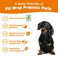 Pill Wrap Probiotic Paste for Dogs With DE111 Probiotic for Immune