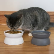 Kitty City, Cat Bowls, Plastic Elevated Feeding Pet Bowls, Multi-Color, O/S, 2 Pack