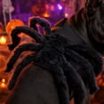 thumbnail image 4 of Pet Costume Black Furry Giant Spider Harness 1 Pack Halloween Cosplay Prank Dress Up Prop for Dogs Cats Trick Or Treat Party Holiday Spooky Decoration, 4 of 5