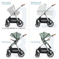 thumbnail image 4 of BebeRoad RX 3-in-1 Foldable Baby Stroller, Reversible Seat 5 Point Harness Infant Stroller with Sunshade Rain Cover Mosquito Net & Large Storage Basket, Green, 4 of 7