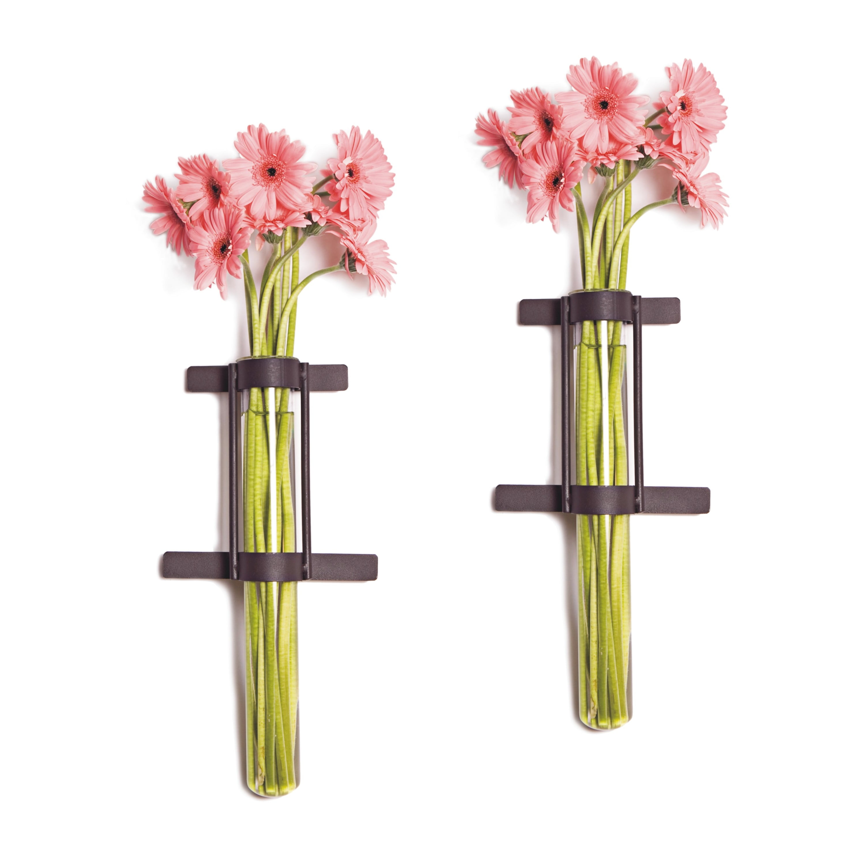 Danya B. Wall Mount Cylinder Glass Vases with Rustic Rings Metal Stand (Set of 2)