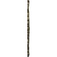 thumbnail image 4 of Ekena Millwork 25 5/8"OD x 1"P Shell Ceiling Medallion, Hand-Painted Brass, 4 of 6