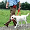 thumbnail image 6 of Topwoner Nylon Dog Training Head Collar No Pull, Head Harness Stops Dog Pulling with Head Leash, 6 of 7