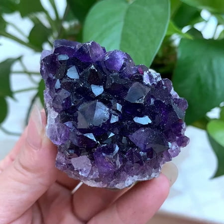 EOEMY 5Pcs Natural Quartz Amethyst Crystal Cluster Healing Druzy Geode Gemstone Decor EOEMY 5Pcs Natural Quartz Amethyst Crystal Cluster Healing Druzy Geode Gemstone Decor