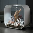 thumbnail image 3 of biOrb Medium Natural Seahorse Sculpture - Aquarium Decor, 3 of 8