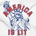 thumbnail image 2 of Statue of Liberty America is Lit Joke Zip Up Hoodie Men's Women's Brisco Brands M, 2 of 5