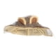thumbnail image 4 of Cats Lion Hat, Cat Lion Mane Disfraz Transpirable Ajustable Realista Para Vestido De Invierno ANGGREK Accesorio de Mascotas, 4 of 7