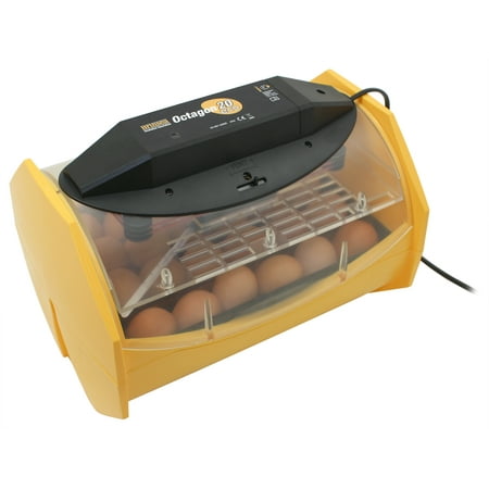 Octagon 20 Eco Manual Egg Incubator