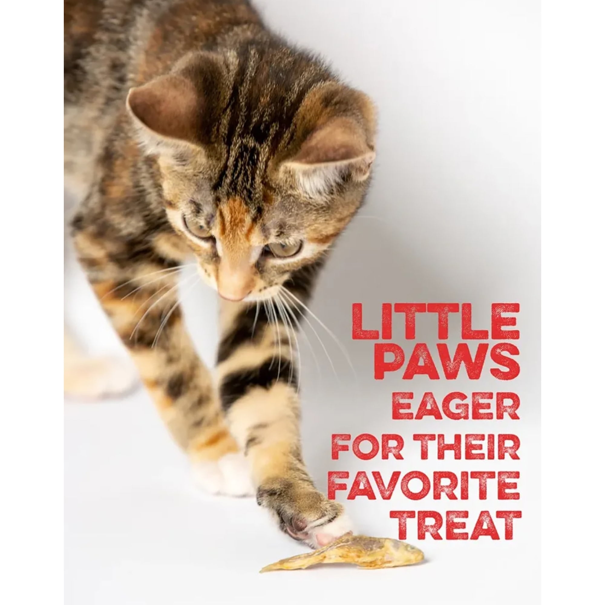 Scout & Zoe's: Munchworthy Minnows - 1oz Dog & Cat Treats, Freeze-Dried, Single Ingredient, Pet Fish Chews, Crunchy Bites, Omega-3 Rich, USA Sourced