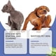 thumbnail image 3 of 1/2/3PCS Pet Skin Cream Treatment Ringworm Mites Anti-Itch Treats Infections Pet Care 50g, 3 of 5
