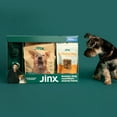 Jinx & Chris Evans Dog Dream Box