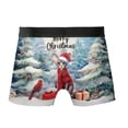 thumbnail image 2 of Merry Christmas Sphynx Enjoys Catmas Winter Xmas Holiday All Over Print Boxer Briefs Underwear for Men Dad Cat Lover Kitten Owner Gifts Idea - 02022, 2 of 6