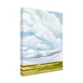 thumbnail image 2 of Victoria Borges 'Lucid Skies II' Canvas Art, 2 of 3