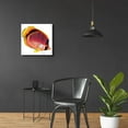 thumbnail image 4 of Epic Art 'New Fish 1' by Olga and Alexey Drozdov, Acrylic Glass Wall Art, 24"x24", 4 of 8