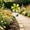 🎈White_Hot#312, variant on Metal Flower Wind Spinner Garden Stake, Rust Resistant Iron Yard Art with Rotating Petals for Outdoor Lawn and Patio Decor