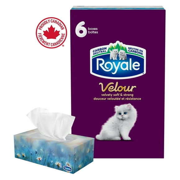 Royale Velour, 3 Ply Facial Tissue, 6 Flat Boxes, 82 Tissues per Box