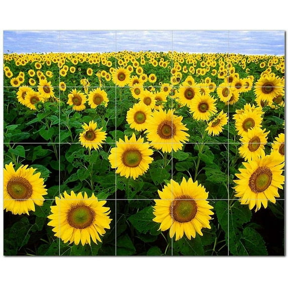 Flowers Usda Ceramic Tile Mural Kitchen Backsplash Bathroom Shower, 405092-L54