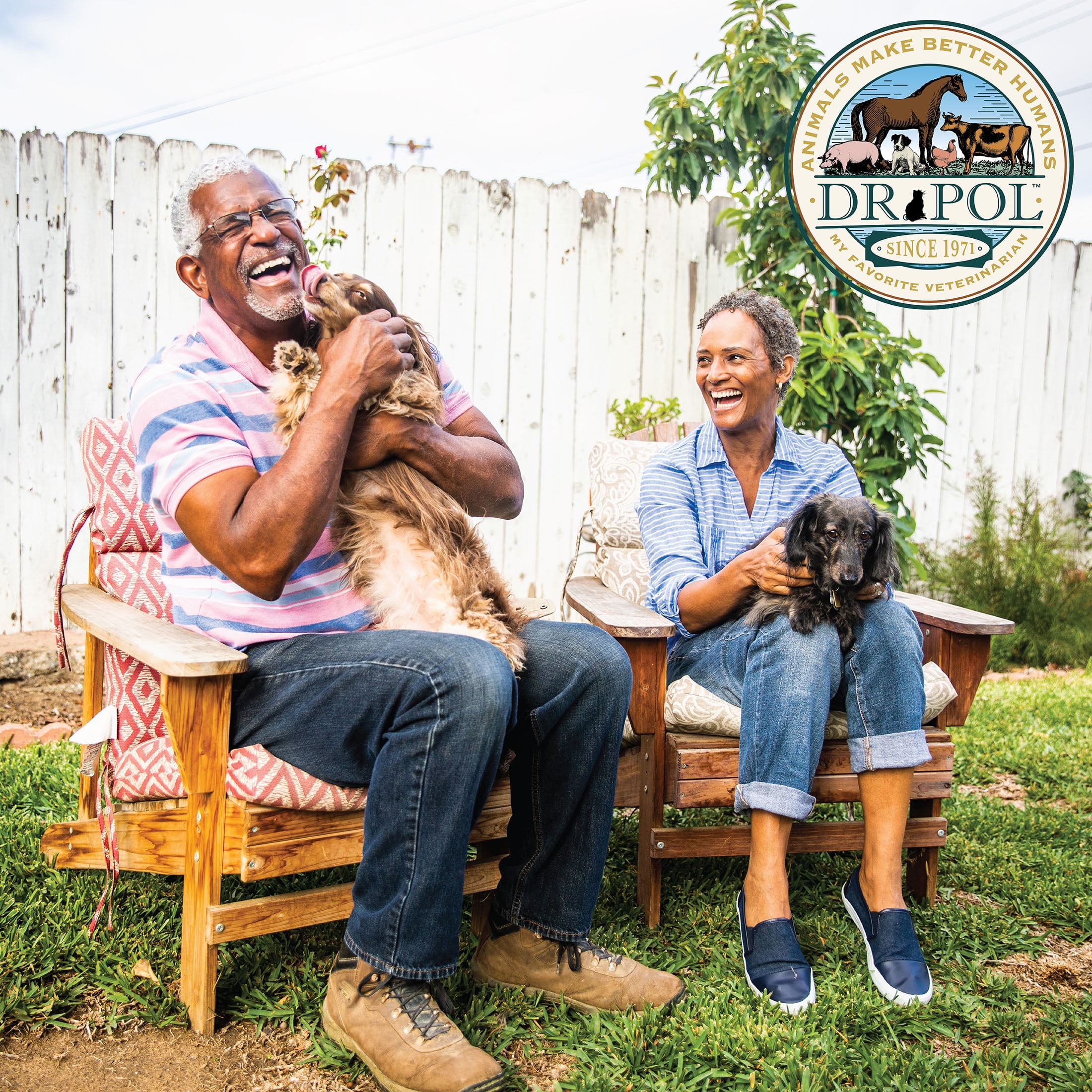 Dr. Pol Healthy Balance Limited Ingredient Grain-Free Salmon Recipe Adult Dry Dog Food, 12 lb. Bag