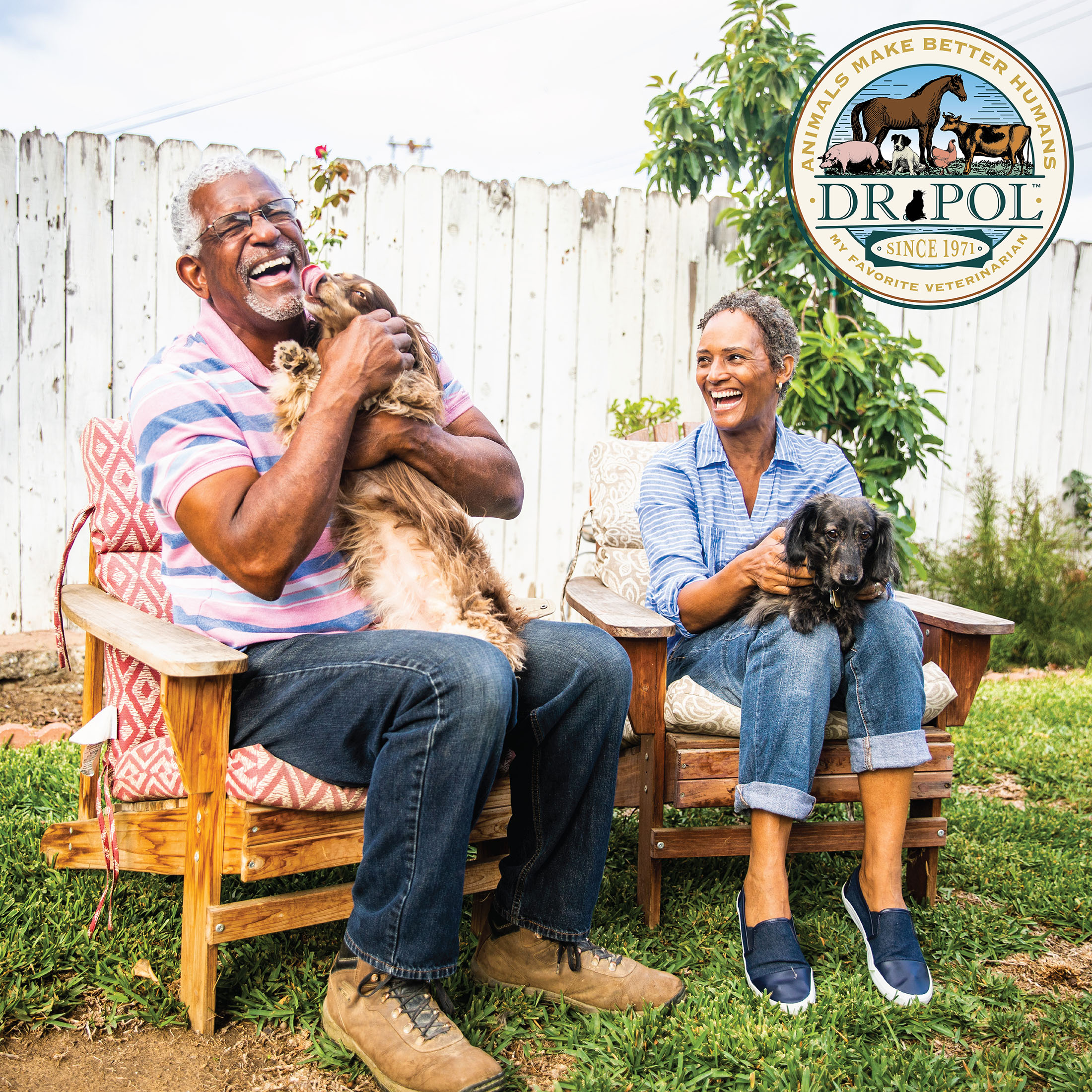 Dr. Pol Healthy Balance Limited Ingredient Grain-Free Salmon Dog Food photo 8
