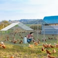 thumbnail image 6 of UBesGoo Large Metal Chicken Coops Chicken Cage House Hen House 20 ft x 10 ft, 6 of 9