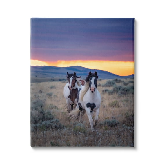 Stupell Industries Spotted Horses at Sunrise Animals & Insects Photography Gallery Wrapped Canvas Art Print Wall Art, 16 x 20