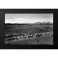 thumbnail image 2 of Adams, Ansel 24x17 Black Modern Framed Museum Art Print Titled - Flock in Owens Valley, California, 1941, 2 of 5