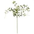 thumbnail image 1 of Vickerman FA187801 43 in. Green Clematis Leaves Spray, 1 of 3