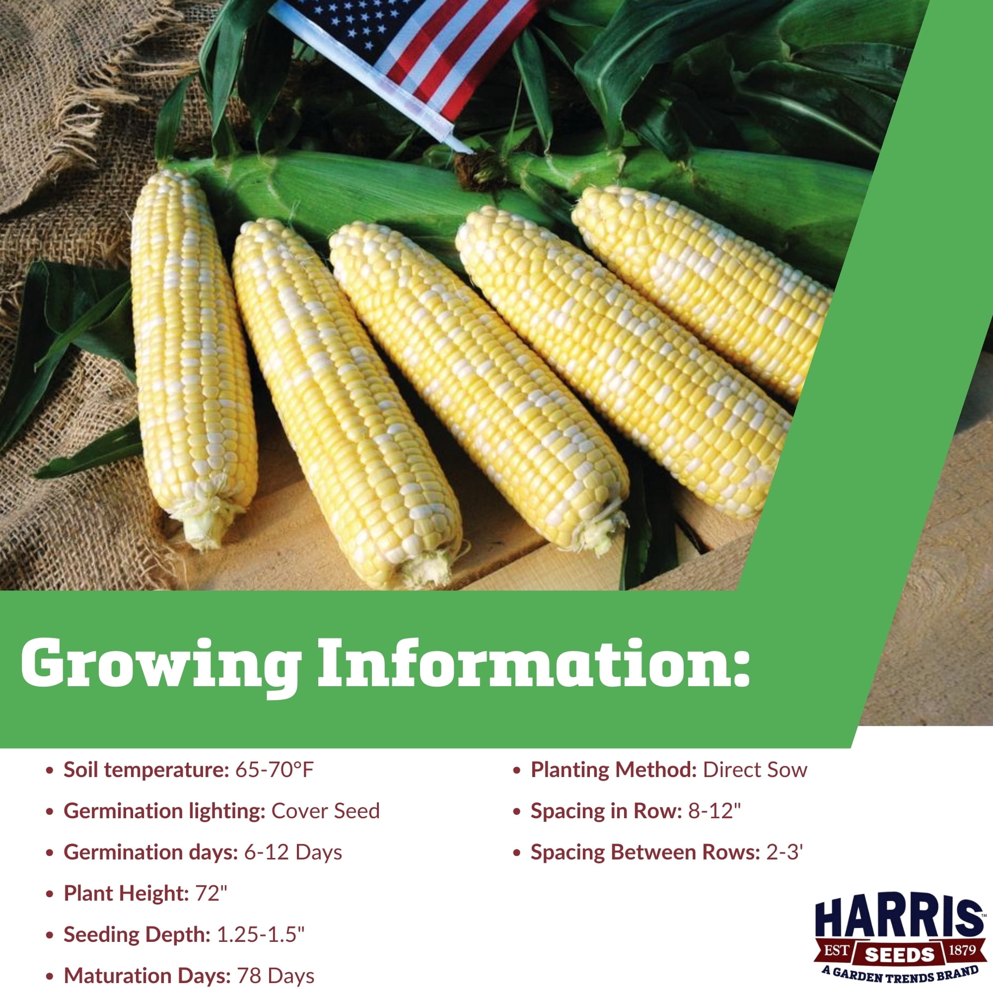 Harris Seeds Sweet Corn American Dream Seed - Thumbnail 3