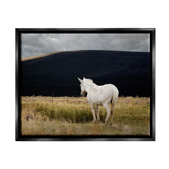 Stupell Industries Lone White Horse Vast Country Pasture Photograph Jet Black Floating Framed Canvas Print Wall Art, Design by David Lorenz