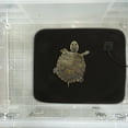 ITSELFER Pet Heating Pad Multiuse Reptile Pets Warming Sleeping Pad