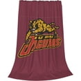thumbnail image 2 of Iupui Jaguars Blanket Large Luxury Fleece Soft Anti-Static Anti-Pilling Flannel Bed Blanket, 2 of 6