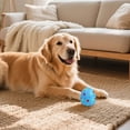 thumbnail image 6 of 3 Pack 2.4 Inch Egg Shape Squeaky Dog Balls Soft Bouncy Interactive Chew Play Toys for Puppy Small Medium Dogs, 6 of 10