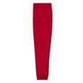 thumbnail image 4 of Reebok Boy's Athletic Cool Down Jogger, Sizes 4-18, 4 of 8
