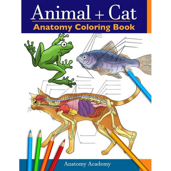 Animal & Cat Anatomy Coloring Book: 2-in-1 Compilation Incredibly Detailed Self-Test Veterinary & Feline Anatomy Color w, (Paperback)