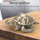 thumbnail image 5 of Cenicero de decoración del hogar, cenicero de Metal con Forma de Tortuga con Tapa Interior al Aire Libre Uso Oficina Decoración de Mesa(Bronceado) Unbranded 1214200016011, 5 of 6