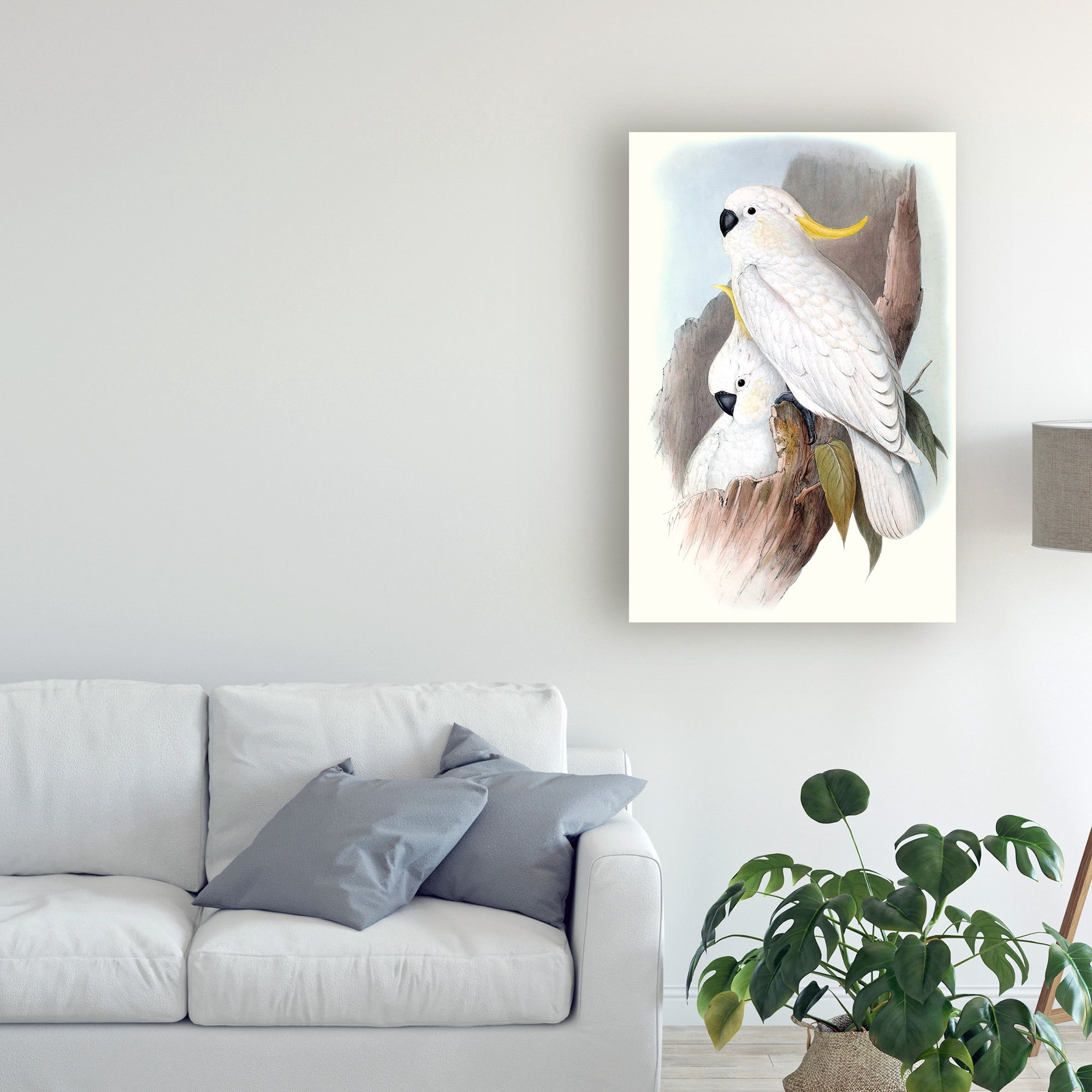 Trademark Fine Art 'Pastel Parrots V' Canvas Art by John Gould