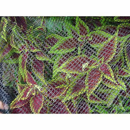 Dewitt Bird Barricade Protective Plant Netting, 14' x 14'