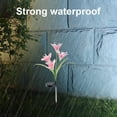 thumbnail image 7 of Harpi Solar Lights Outdoor Clearance, Solar Garden Lights Decor, Lily Garden Decorative Flowers with 4 Lily Flowers, Waterproof LED Solar Powered Landscape Lights for Yard Garden Patio, 7 of 7