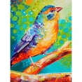 thumbnail image 1 of Diamond Painting (DE6108) Kit cuadrado 5D Bird DIY Rhinestone Art (FH311) 30x40cm FLhrweasw Nuevo, 1 of 1