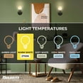 thumbnail image 3 of Bulbrite 862852 2700K 500 Lumen 6 watt LED Filament Dimmable G40 Light Bulbs with a Half Gold & Medium E26 Base, Warm White - Pack of 4, 3 of 5