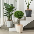 thumbnail image 2 of Maceta con orificios de drenaje, maceta decorativa con plato a juego, maceta moderna para uso interior y exterior, Pothos Aloe, 2 of 8