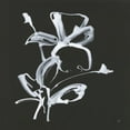 thumbnail image 2 of Paschke, Chris 12x12 White Modern Wood Framed Museum Art Print Titled - Wildflowers II, 2 of 4