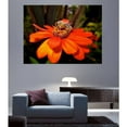 thumbnail image 2 of Arena "Pollen Nation" Wall Decal, 2 of 2