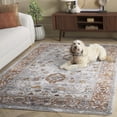 thumbnail image 3 of Safavieh Heirloom Emely Oriental Polyester Area Rug, Ivory Gray/Rust, 8' x 10', 3 of 11