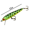thumbnail image 5 of Rebel Value Series Minnow Crankbait Fire Tiger 2 1/2" 1/8 oz., 5 of 6