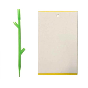 LMTODLFG 20 PCS Fly Traps for House Indoor Fly Strips Indoor Sticky Hanging Insect Bug Fly Glue Paper Tape Ribbon Catcher for Gnat Mosquito - Gnat Traps for House Plants Z-C