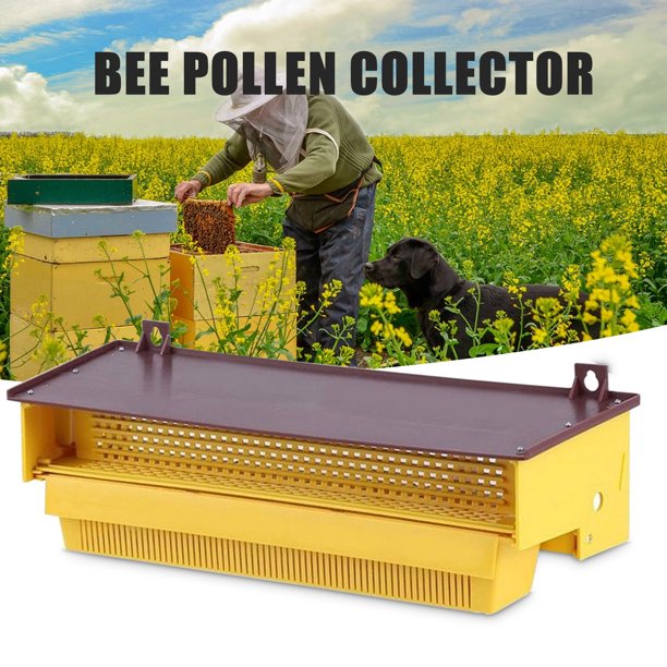 Colector de polen de abeja Colector de trampa de polen de colmena de abeja con bandeja de polen MABOTO Tipo 1
