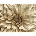 thumbnail image 2 of Saunders, Alonzo 32x26 Gold Ornate Wood Framed with Double Matting Museum Art Print Titled - Neutral Wall Flower I, 2 of 4